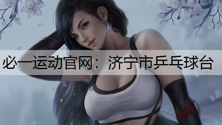 济宁市乒乓球台