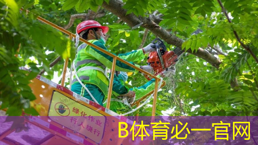 网球拍握法初学者教程