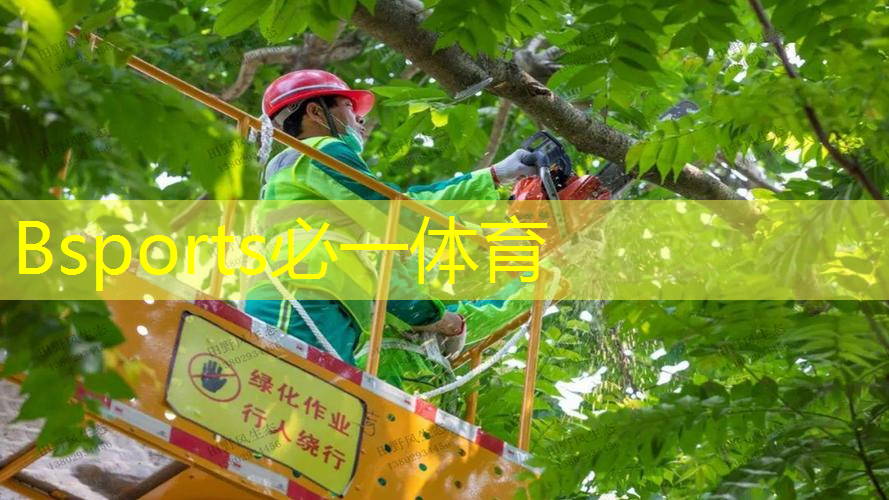 进阶型网球拍怎么选择好