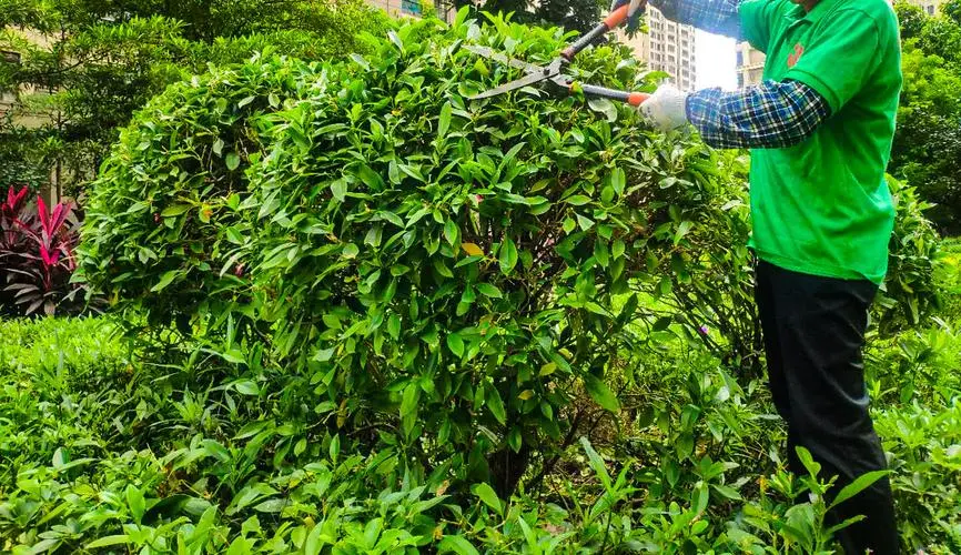 网球拍尾部加粗是什么材质