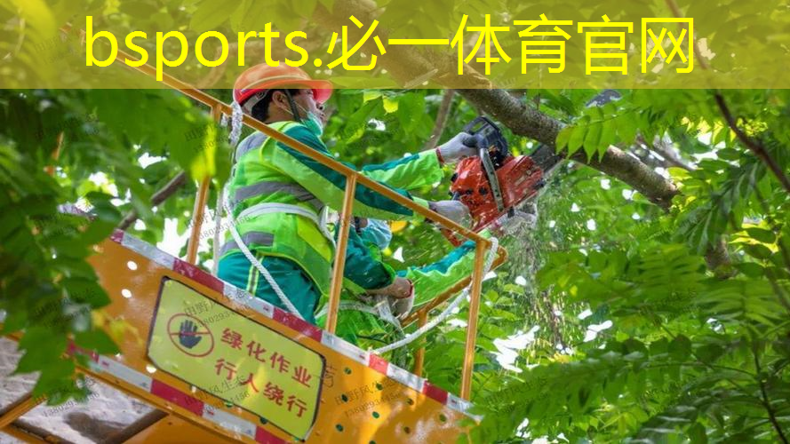 网球拍四年不用换线