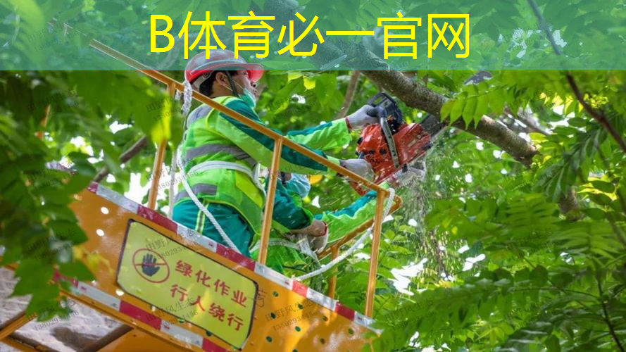 新手网球拍一步到位