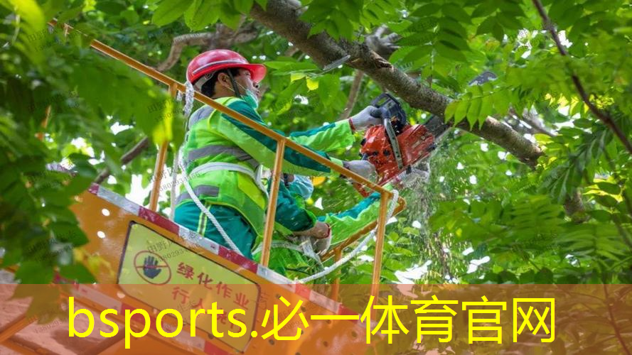 儿童初学性价比高的网球拍