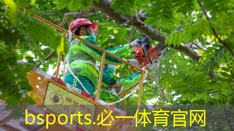 学校的乒乓球台标准吗